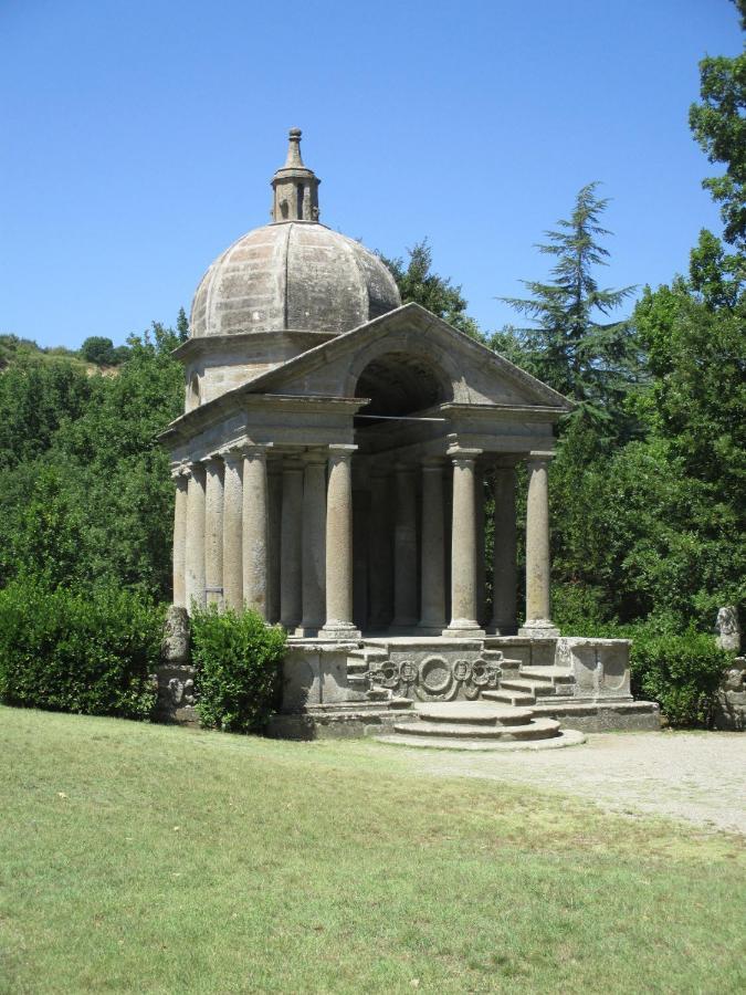 Il Grifo *