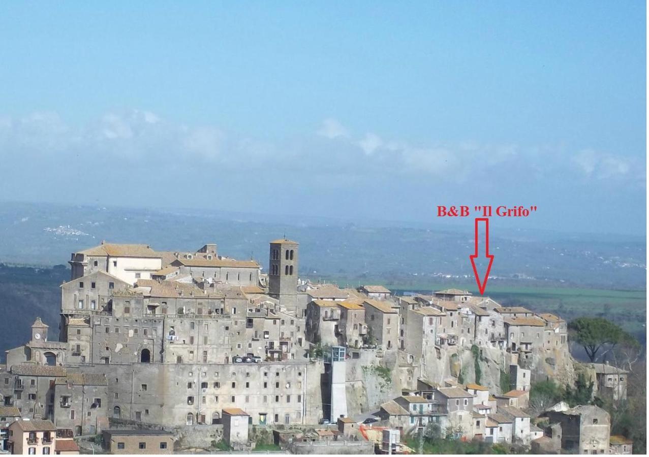 Il Grifo *