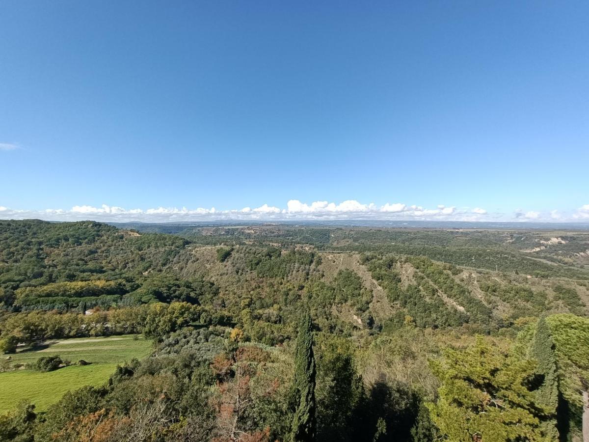 Il Grifo