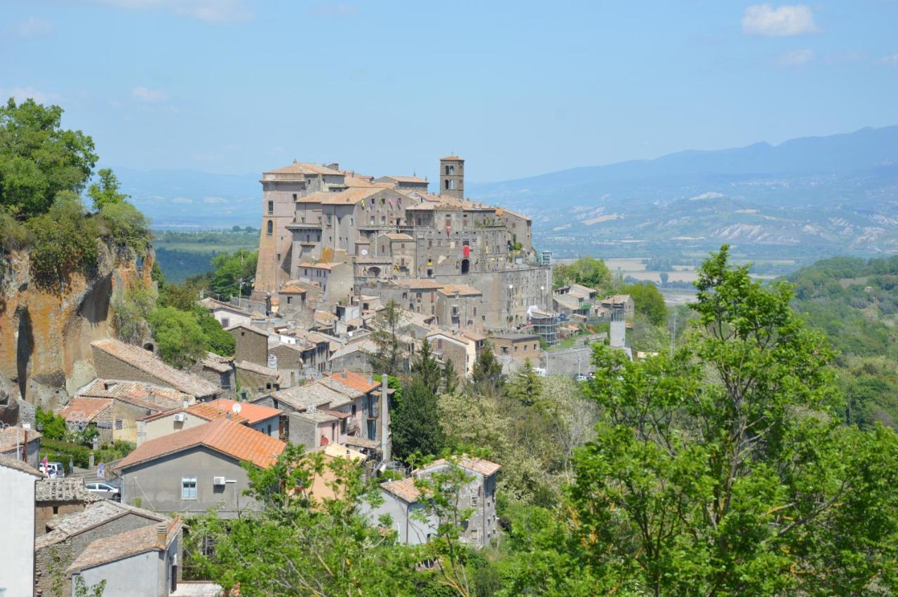 Il Grifo Bed & Breakfast Bomarzo